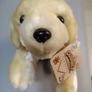 10 Inch Puppy New Soft Toy Teddy Bear Plush Image 2
