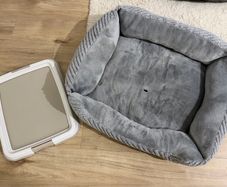 pet bed litter tray