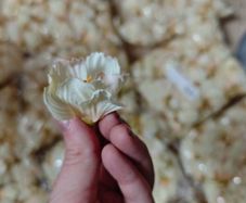 cream pale yellow faux flowers wholesale bundle