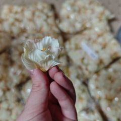 cream pale yellow faux artificial flowers wholesale bundle