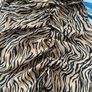 Size 8 Animal print dress Image 5