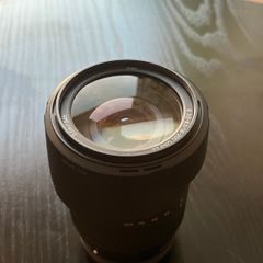 Sony 18-200mm F3.5-6.3 E-Mount Lens SEL18200LE