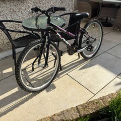 Plant Essence mountain Bike