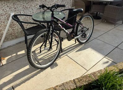 Plant Essence mountain Bike
