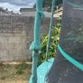 trampoline Image 3
