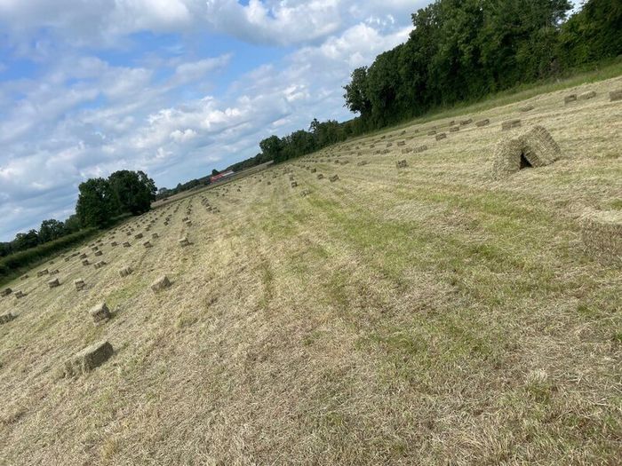 Square bales of hay North Galway