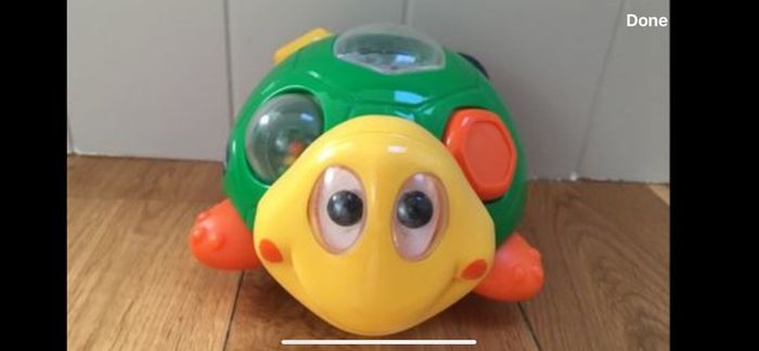 Chicco Turtle