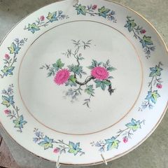 Arklow Caroline dinner hanging plate Arklow,     County Wicklow