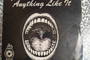 The Freshmen, "you've never heard anything like it" Irish power pop, punk parody