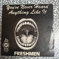 The Freshmen, "you've never heard anything like it" Irish power pop, punk parody