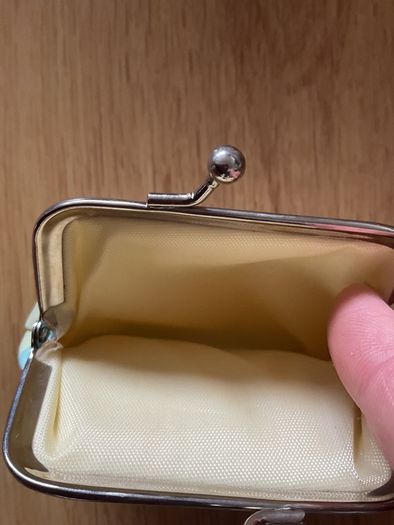 Girls purse Brand New