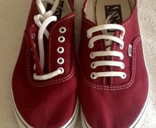 Mens Canvas Shoes