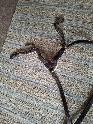 Breastplate 5 point.Shires