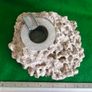 Vintage Fossilised Coral  Ashtray Image 8