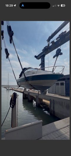 maxum boat