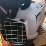 pet carrier Image 5