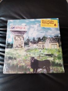 Toro y moi Sandhills 12"