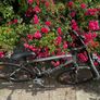 Carrera Crossfire 2 Hybrid Bike Image 5