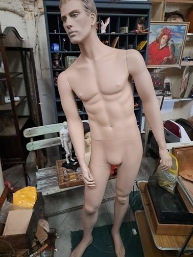 Male Mannequin
