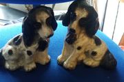 Old Pair of Spaniels
