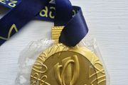Rugby World Cup Winners Medal
