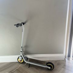 Child's Segway Ninebot E kick Scooter Zing c10