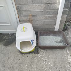 cat accessories for sale