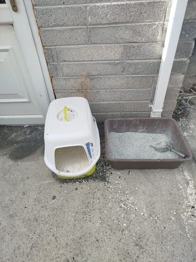 cat accessories for sale