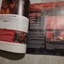 DMC Devil May Cry guide game play Brady games Image 3