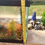 Fish Tank Image 6