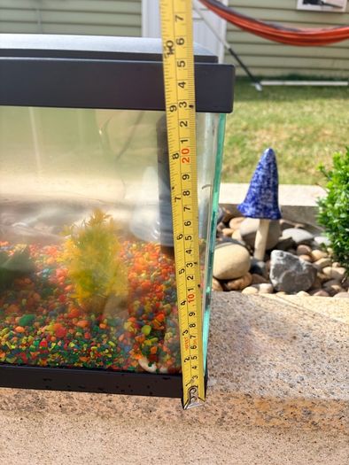 Fish Tank