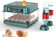 24 Egg Incubator Automatic Temperature Humidity