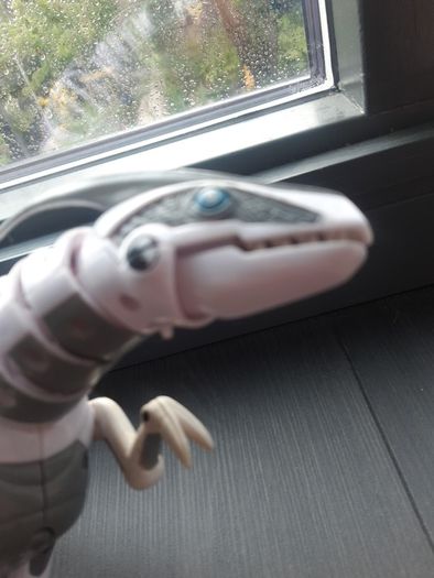 Robo Dinosaur white and grey@"