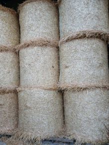 Straw