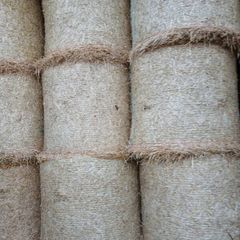 Straw