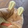 Sweetest new pram suit Image 6