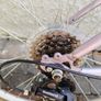 17" Mountain Bike Image 6