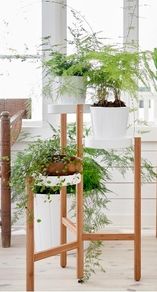 Ikea satsumas bamboo plant stand