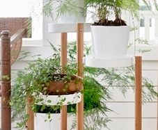 Ikea satsumas bamboo plant stand