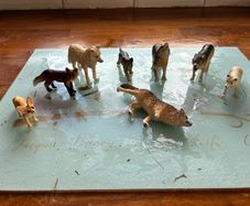 Schleich Wolves