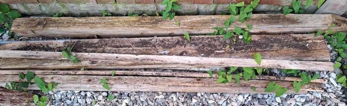 Wood