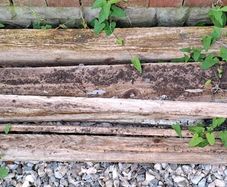 Wood