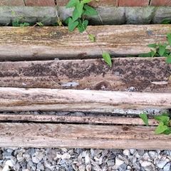 Wood