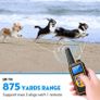 Dog Training Collar Image 3