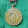Irish Service Medal Image 3