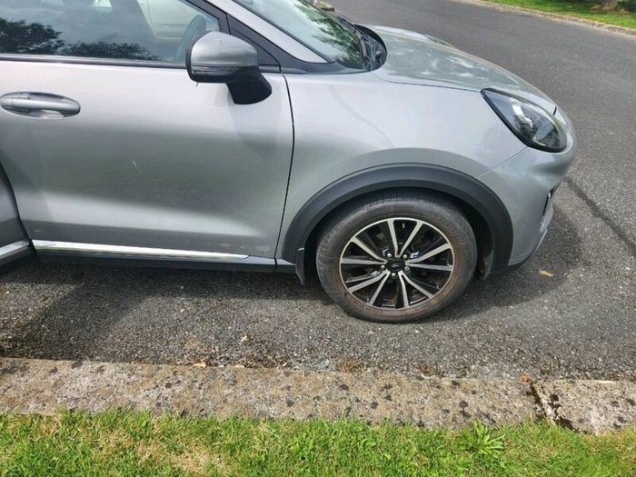 Ford puma