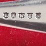 silver caddy spoon Image 5