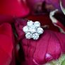 Vintage 1950/60s Diamond Daisy Flower Ring - 18ct & Platinum Image 3