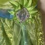 Tinker Bell Costume Image 5