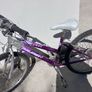 Girl's mountain bike Raleigh Image 4